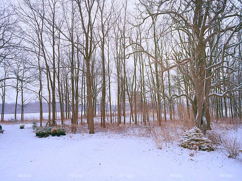 Snow in spring . Snow