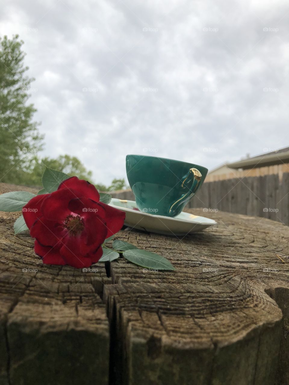 Clouded sky romantic photo with rose next to a fancy cup of tea