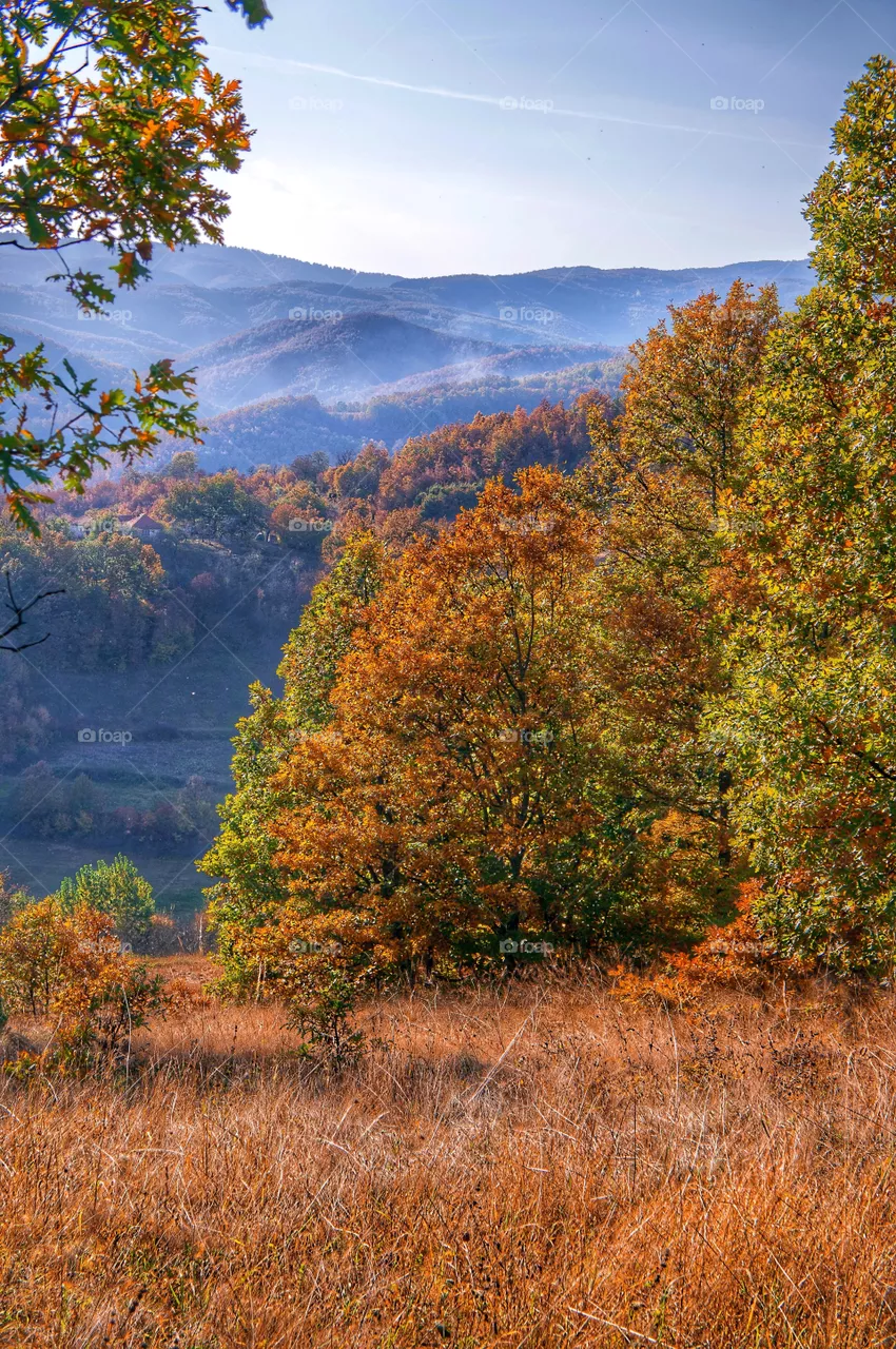 Landscape - Serbia