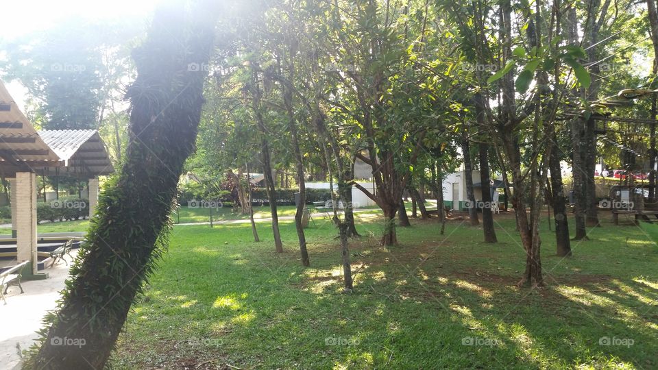 parque