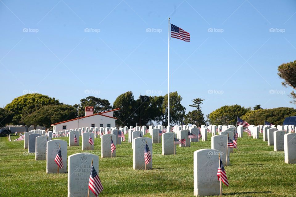 Cemetery 