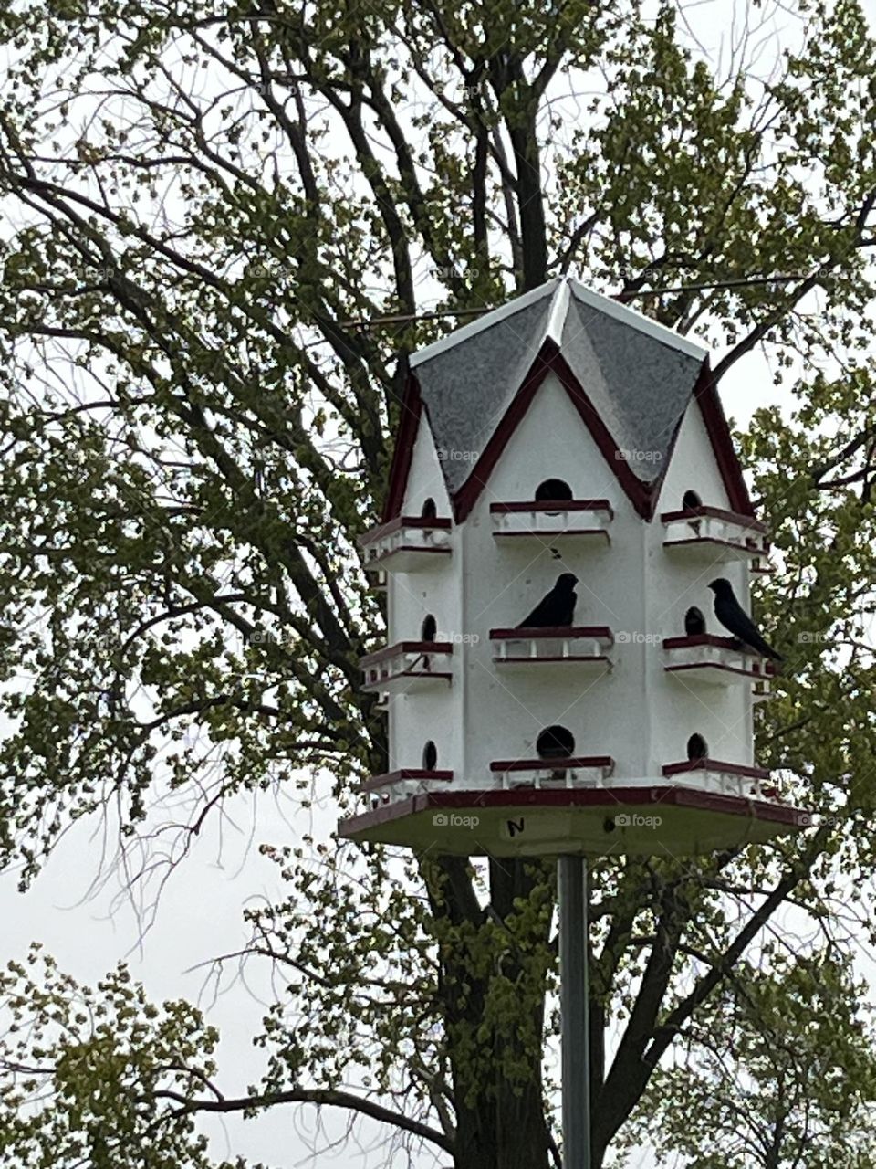 Bird house 