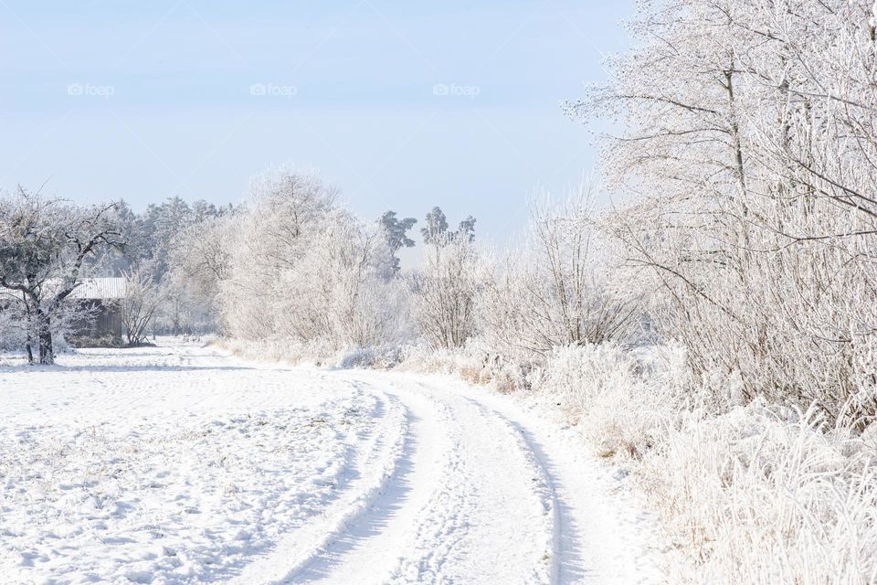 path in winter, winter wonderland