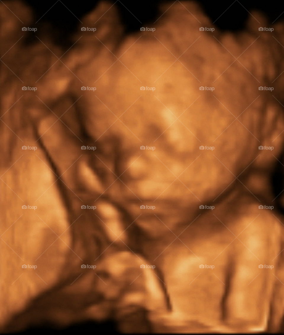 Callen James Stewart