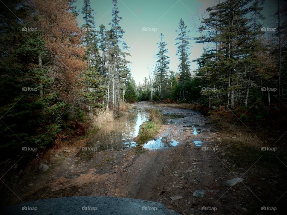 Drummond Island, Michigan 