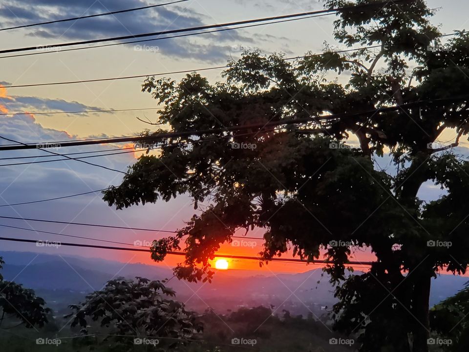 Tree, Landscape, Silhouette, Sunset, Light