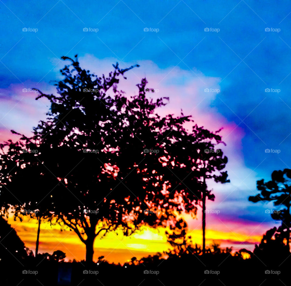 Dawn, Tree, Sunset, Sun, Silhouette