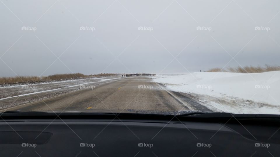 Road, Winter, Landscape, Car, Highway
