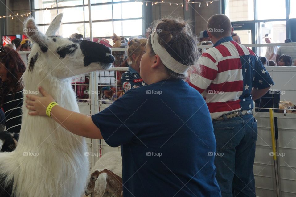 It looks like this alpaca is going in for the kiss.  :)