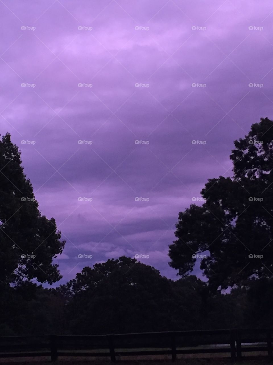 Purple sky