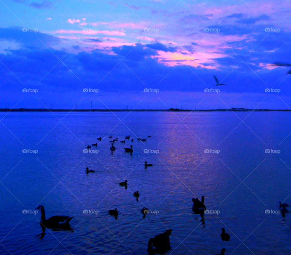 Steal Blue. Santa Rosa sound sunset 