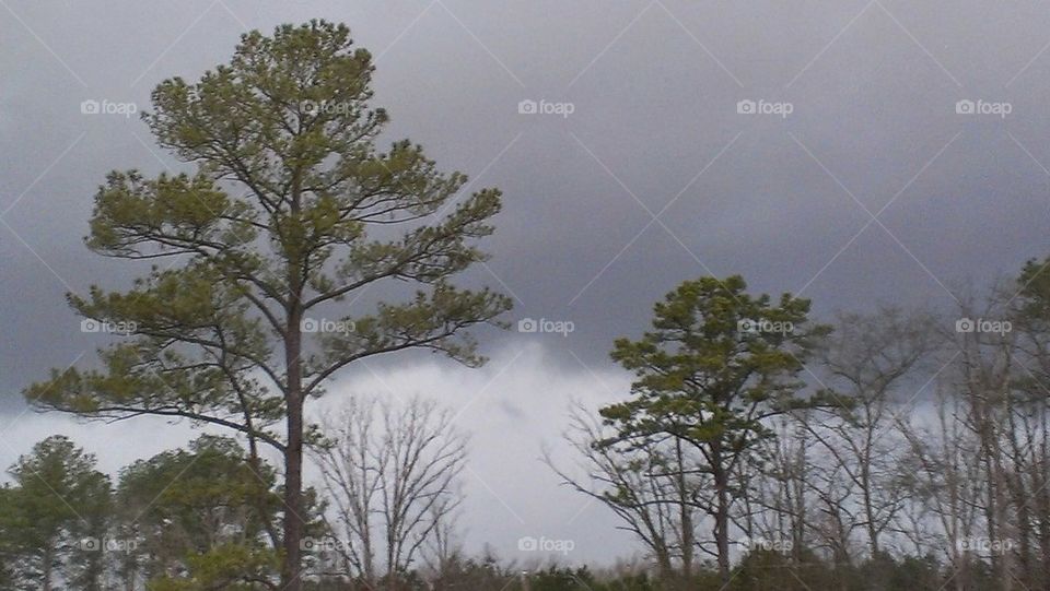 Storm Clouds