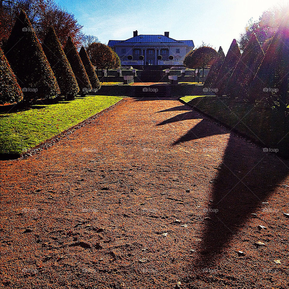 garden house shadows path by petern