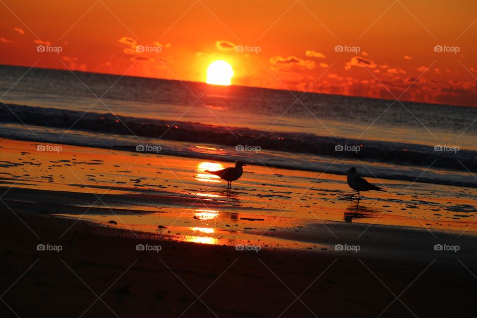 sunrise reflected on the shore