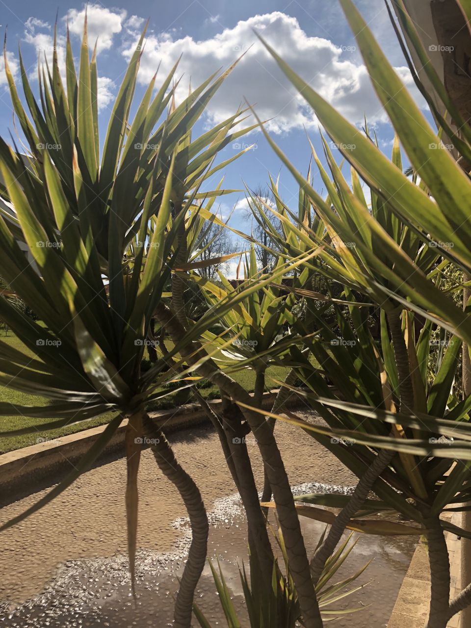 Sky garden view