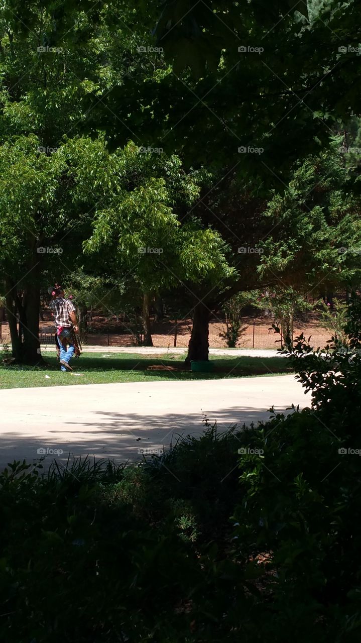 Tree, Landscape, Park, Environment, No Person