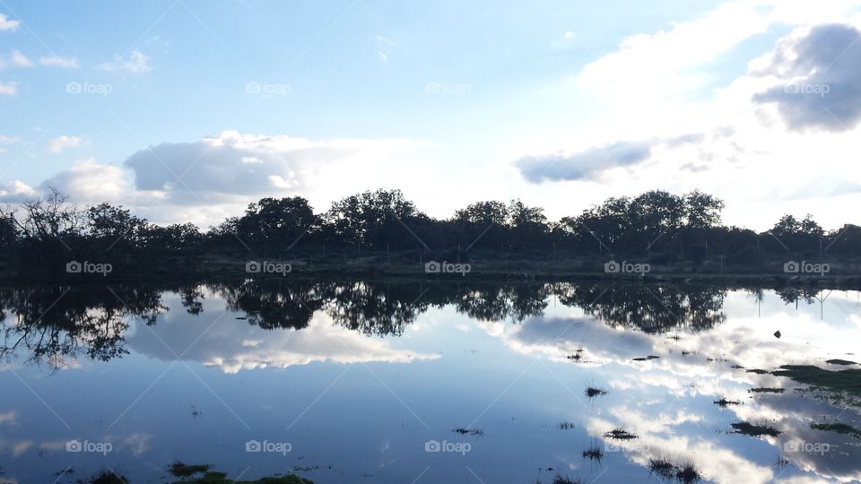 mirror image, landscape, water, sky, tree,