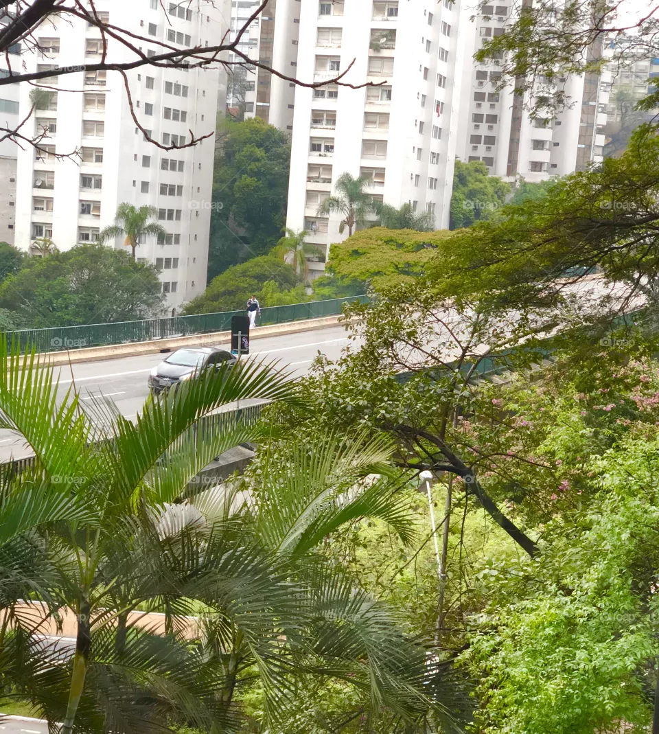 Green city