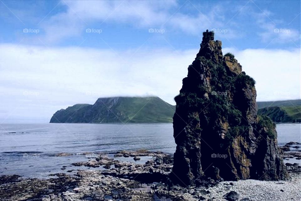 Summer Bay in  Summer