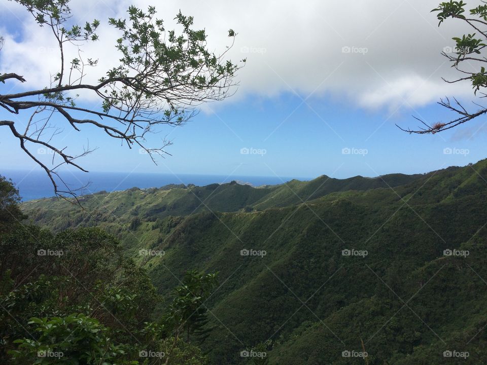 Hawaiian Views4