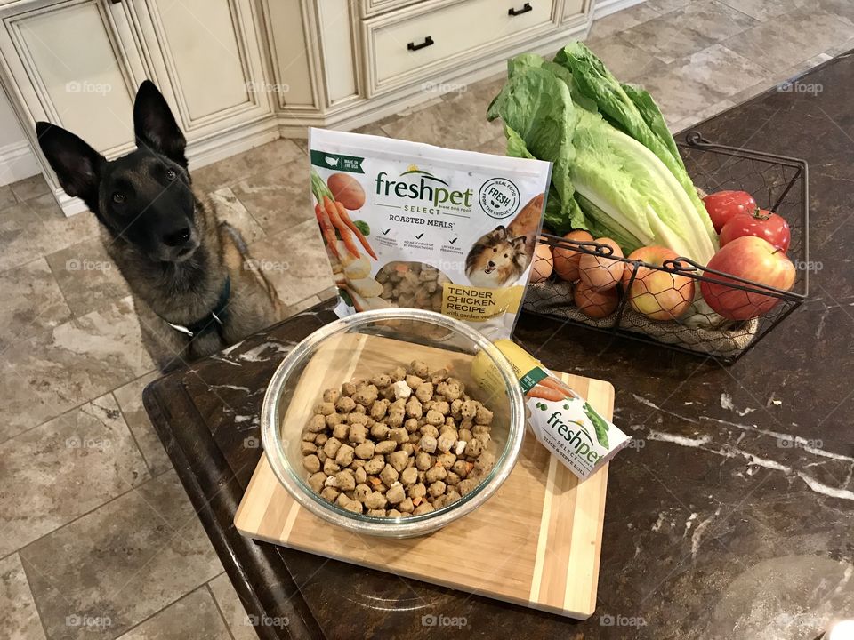 Freshpet Select dog and cat foods. All natural, healthy and fresh meals for pets. 