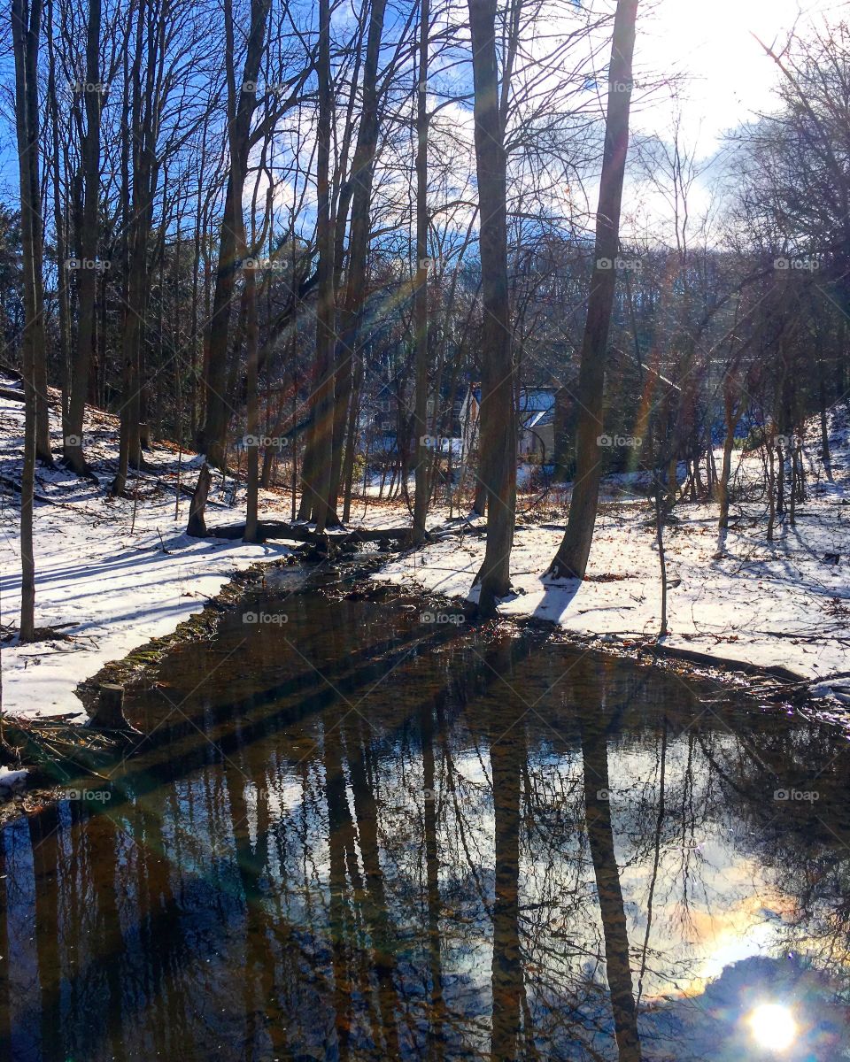 Reflections in the stream