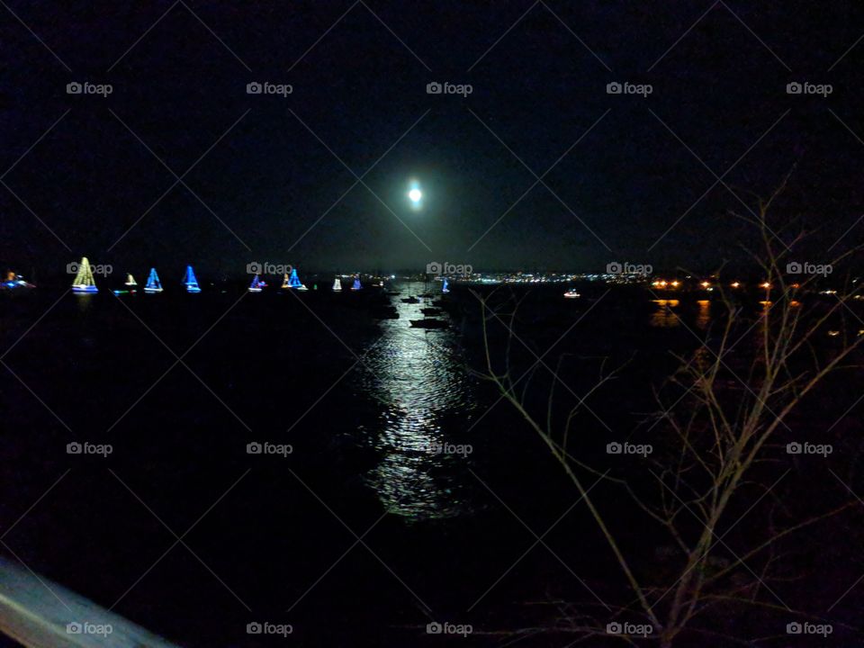 sailing on a moon lit night