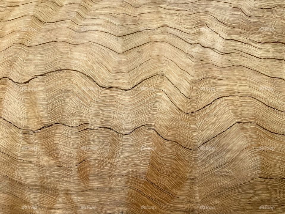 Wood skin and texture brown 