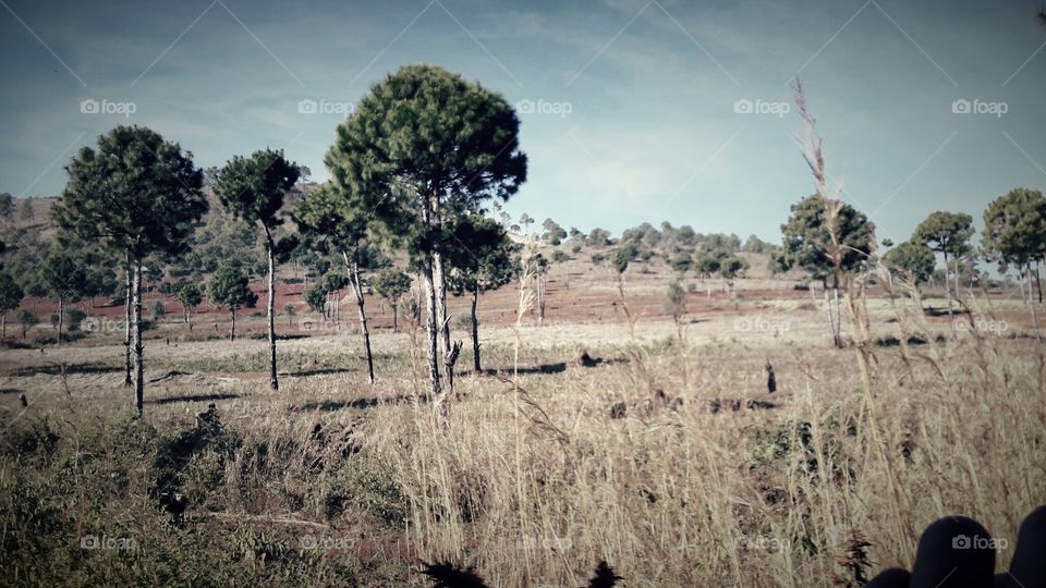 Just like the old times..