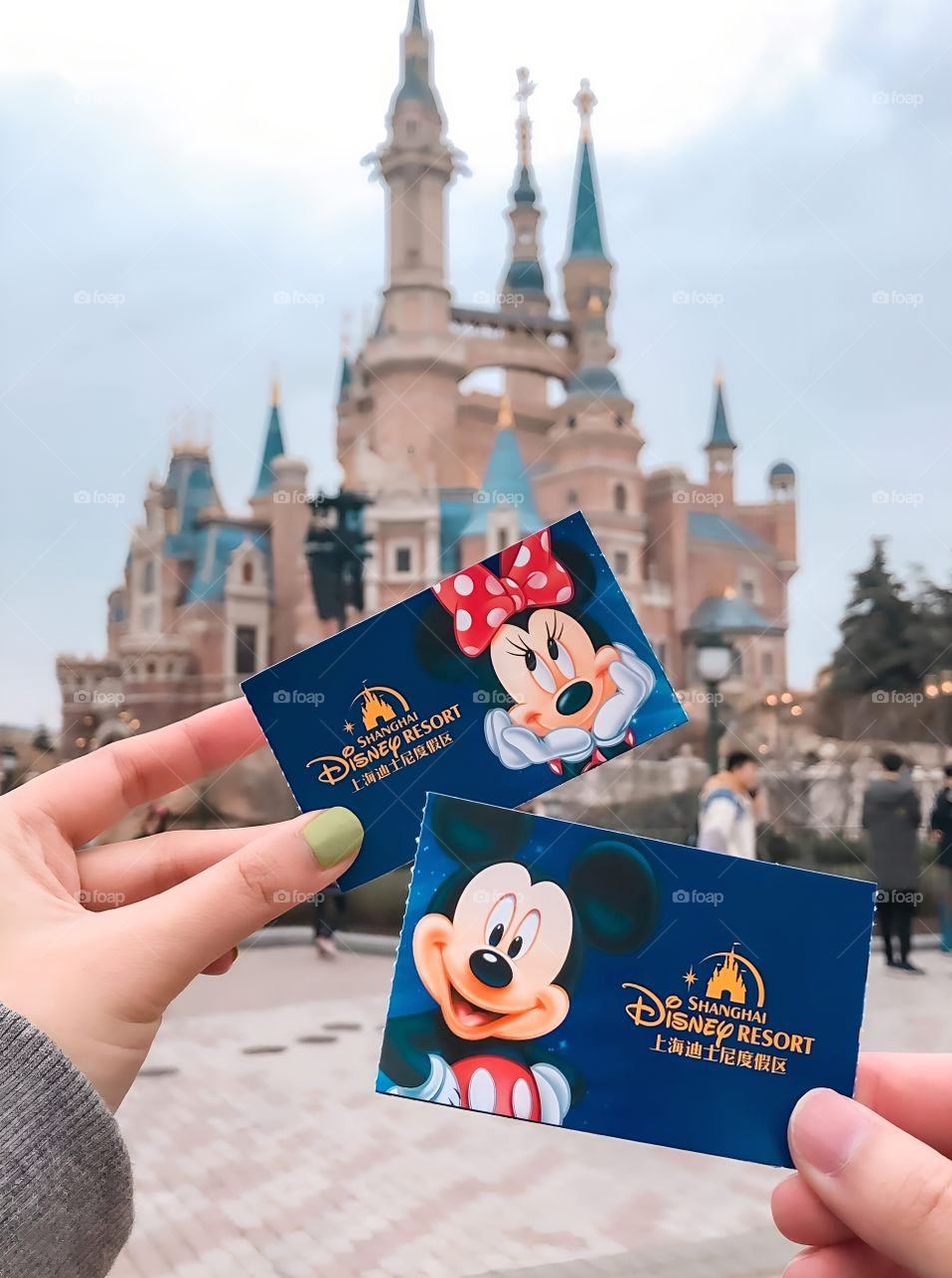 Disneyland ticket with you