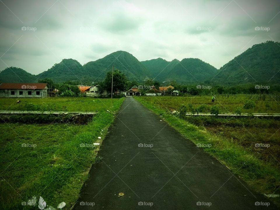 Road to a Village