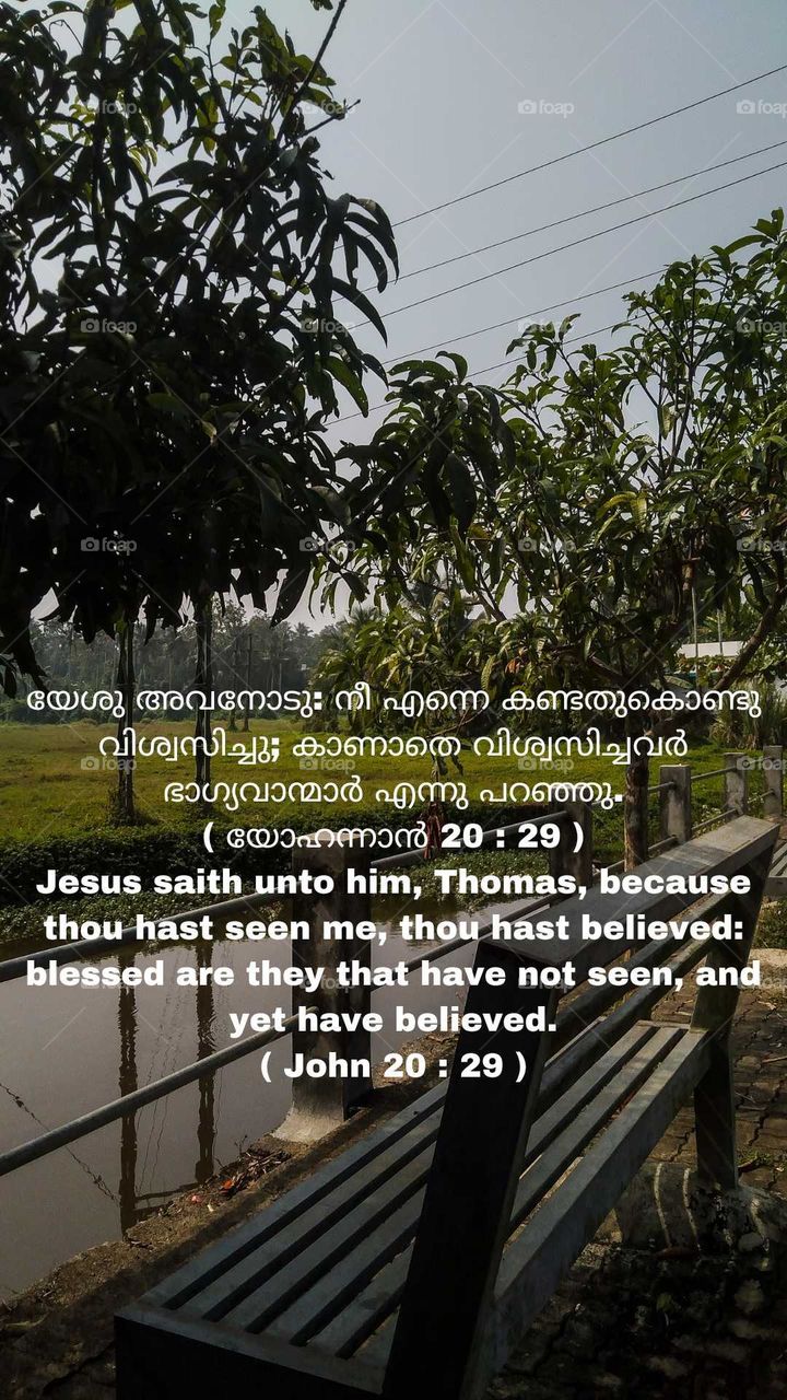 A quiet place to sit