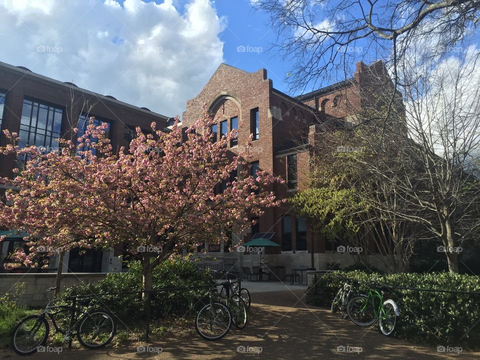 Vanderbilt university in Nashville 