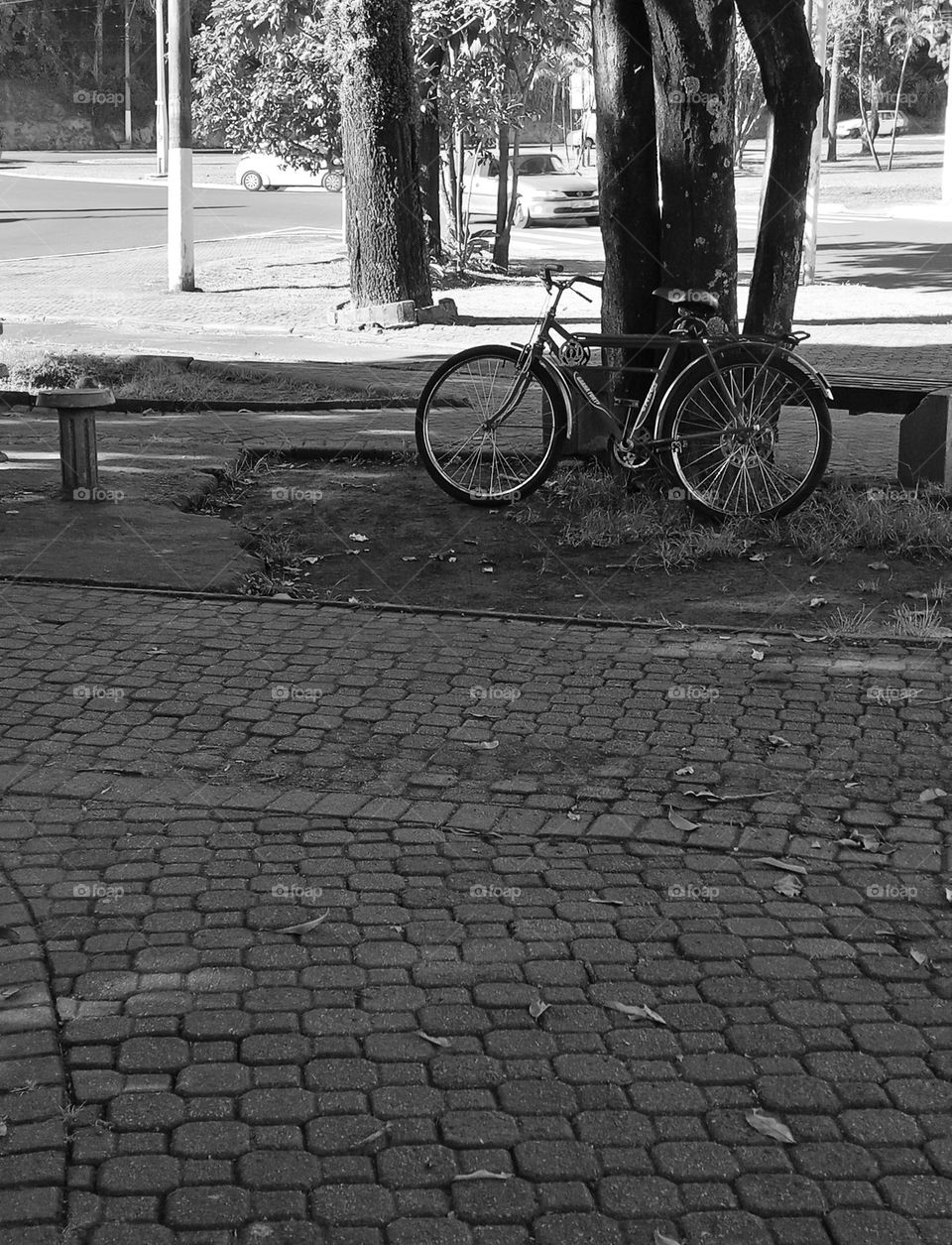 An old bycicle left a tree near a path walk