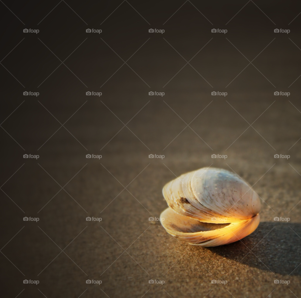 ireland beach ocean nature by sergio_from_ireland