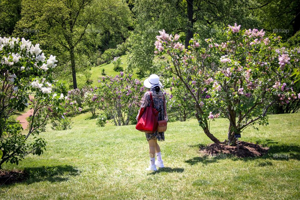 Woman in a gorgeous park