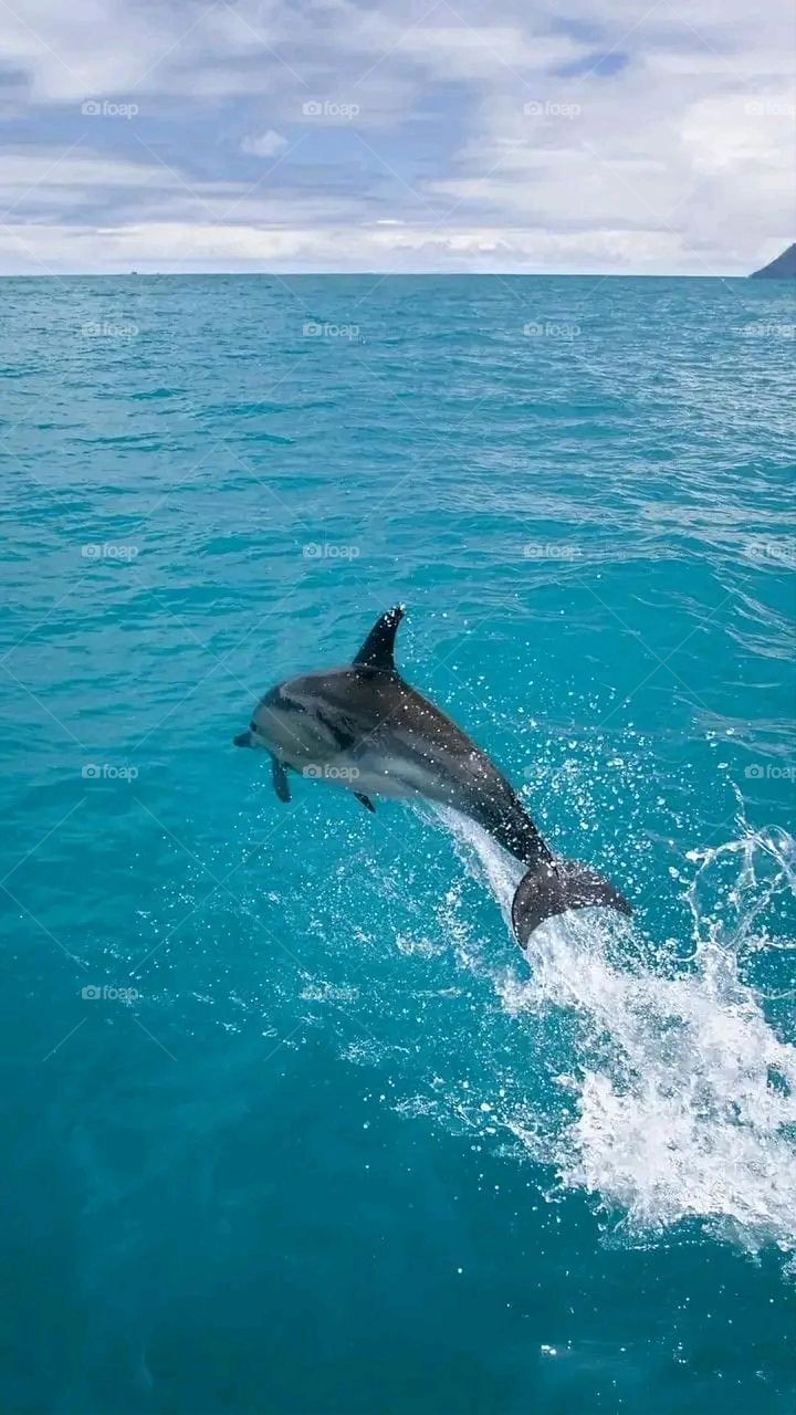 A very beautiful picture, and there is no better picture than it. There is no better picture of green herbs and colorful, red and white roses than it. Glory be to God, the natural and picturesque view, and there is no more wonderful picture than it.