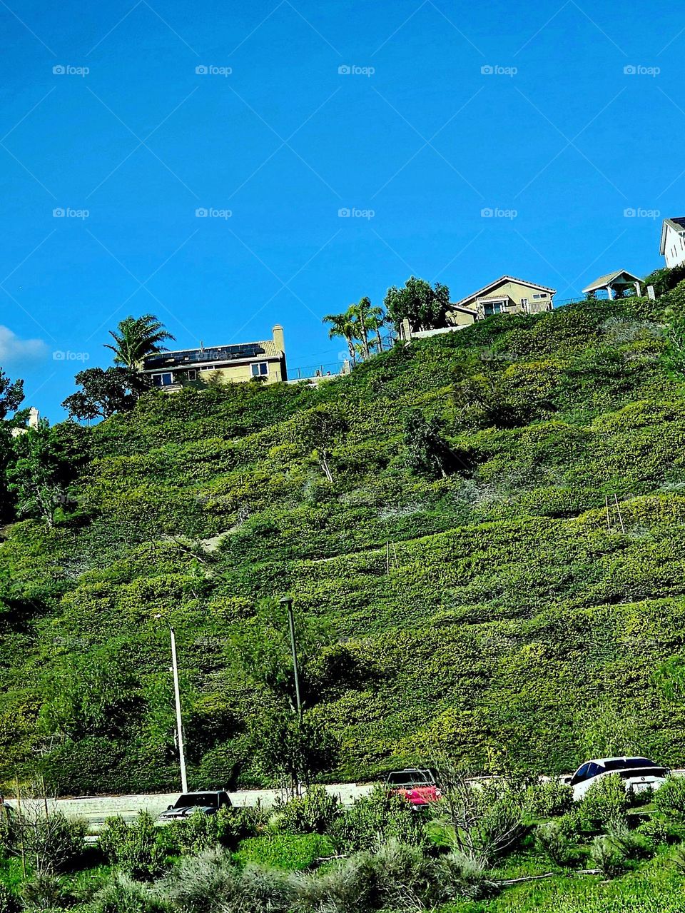 living mountain side