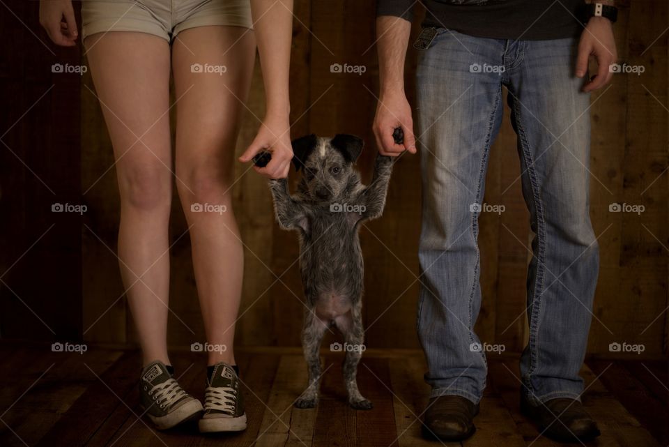 A couple holding their puppy’s paws 