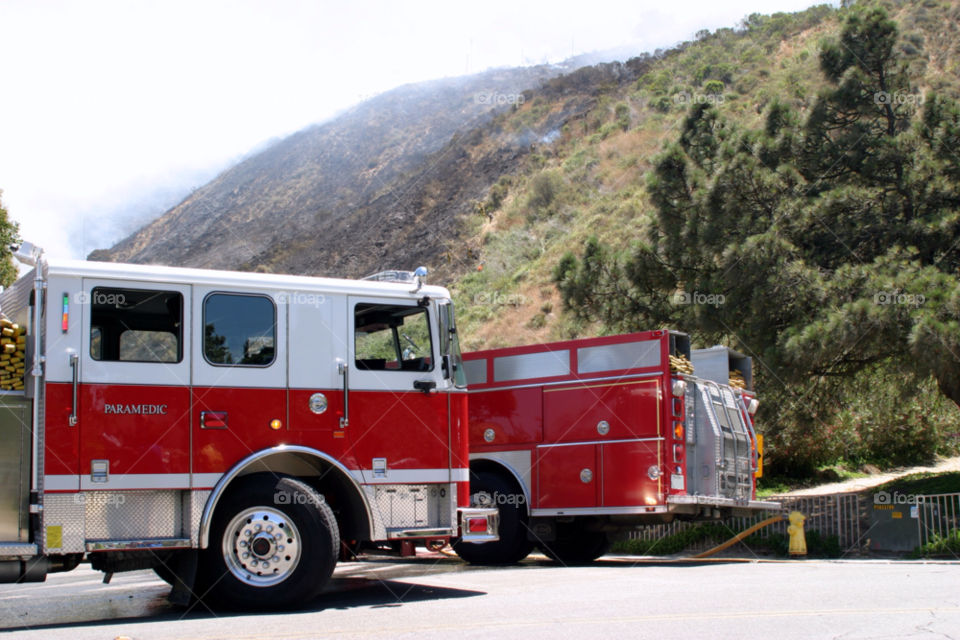 field light yellow nature by hlehnerer