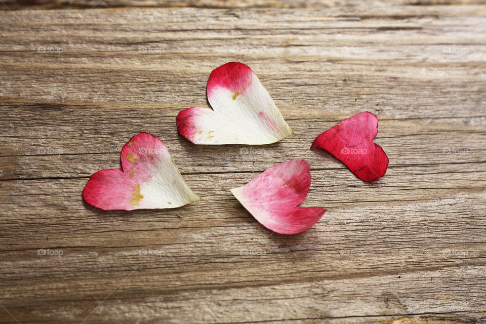Heart shaped rose petals 