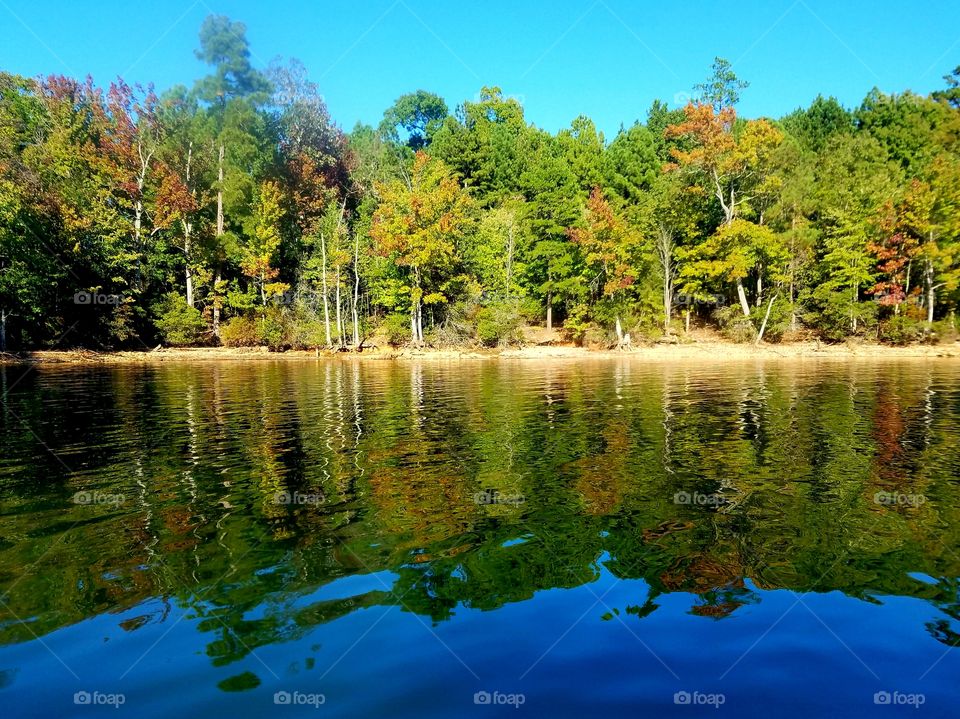 autumn on the lake.