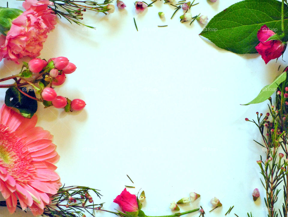 carnations and gerbera daisies as border in flat lay