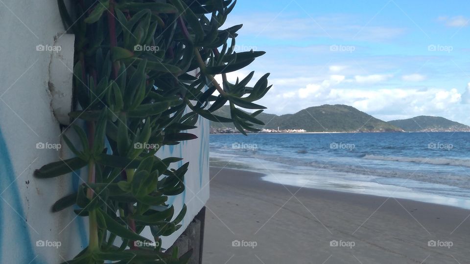 praia de Florianópolis