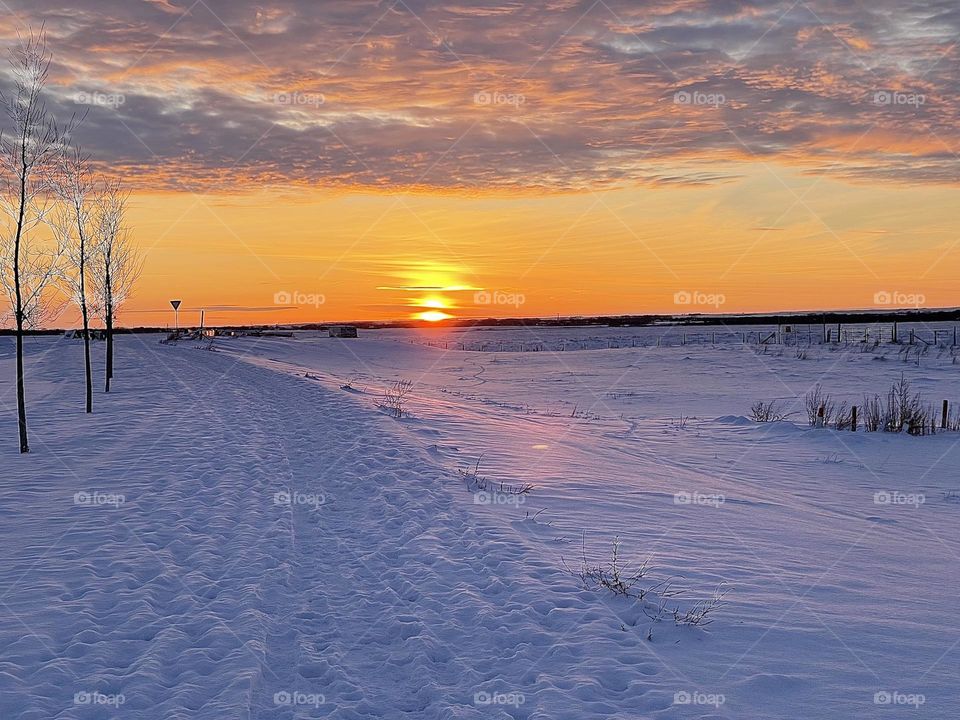 Beautiful winter  sunset in Alberta Canada 