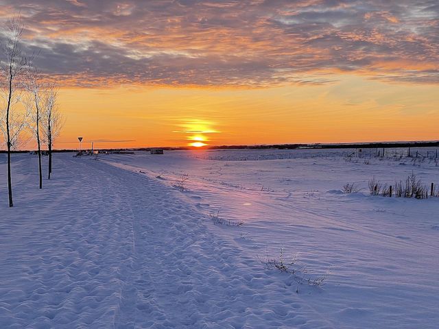 Beautiful winter  sunset in Alberta Canada 