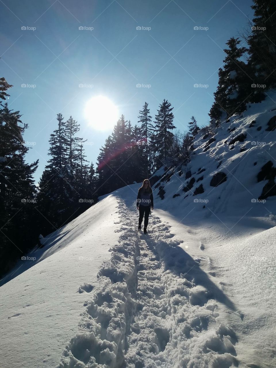 Hiking through the Alps