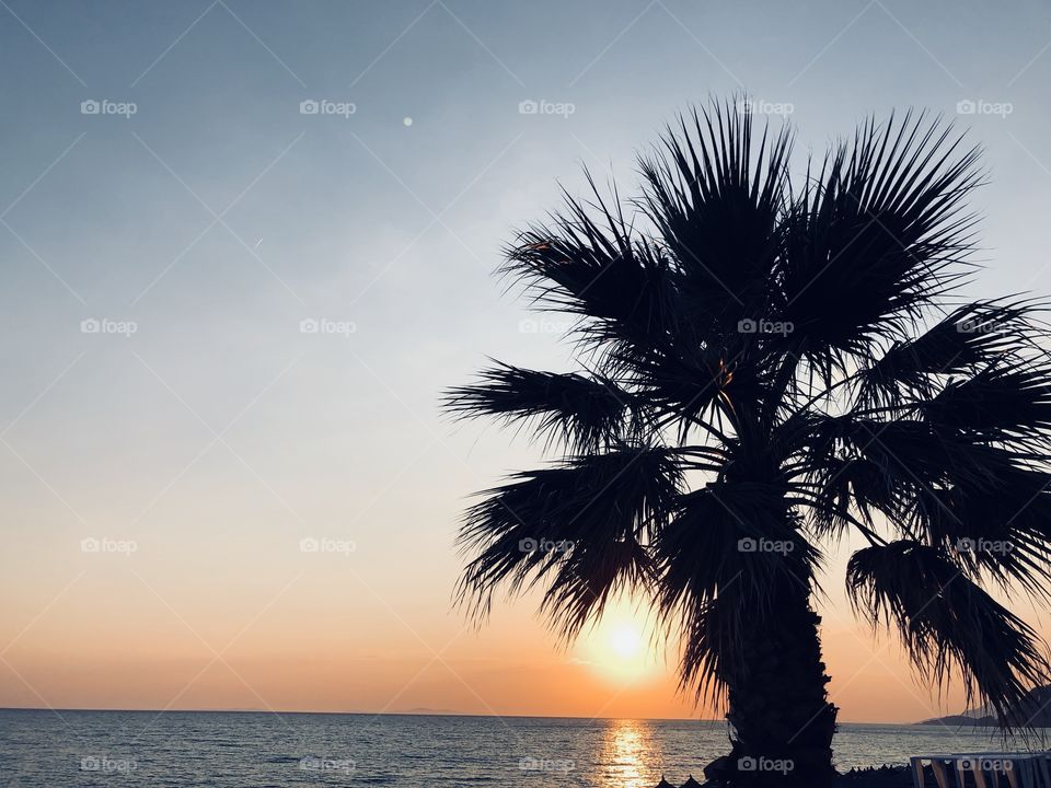 Palm Vacation Greece