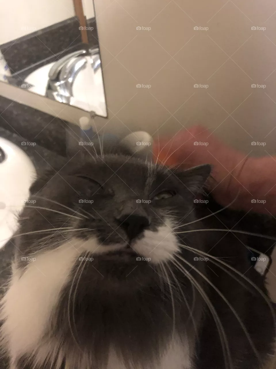 Getting brushed 