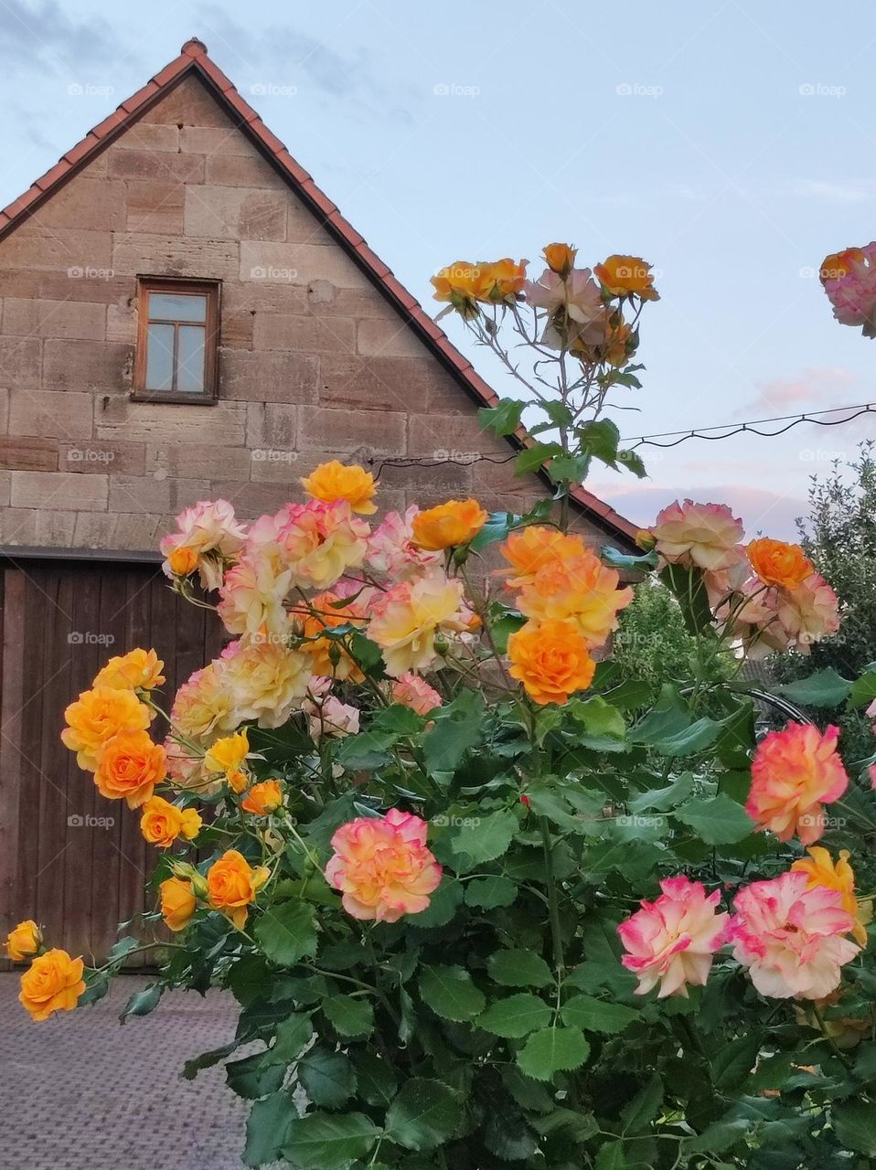 A really wonderful time